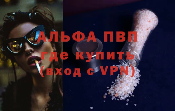 шишки Верхний Тагил