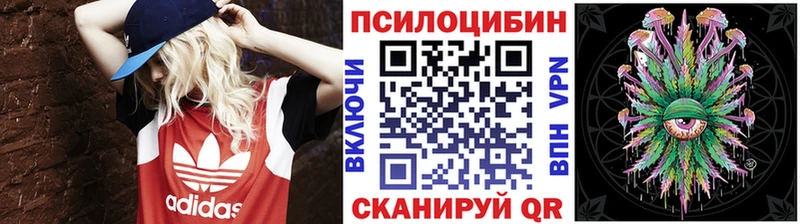 ОМГ ОМГ ТОР  Подпорожье  Псилоцибиновые грибы GOLDEN TEACHER 